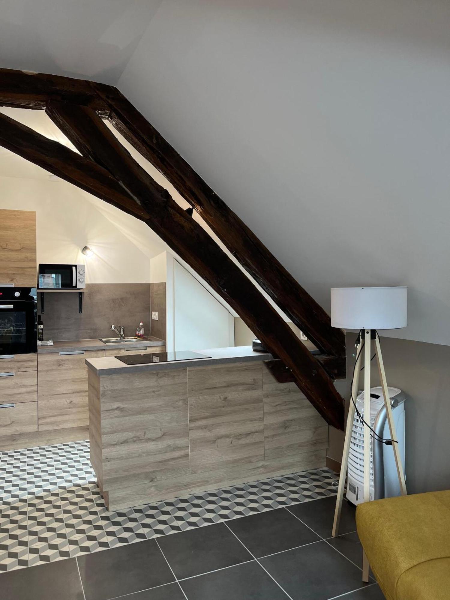 Quai De La Loire Apartment Blois Exterior foto