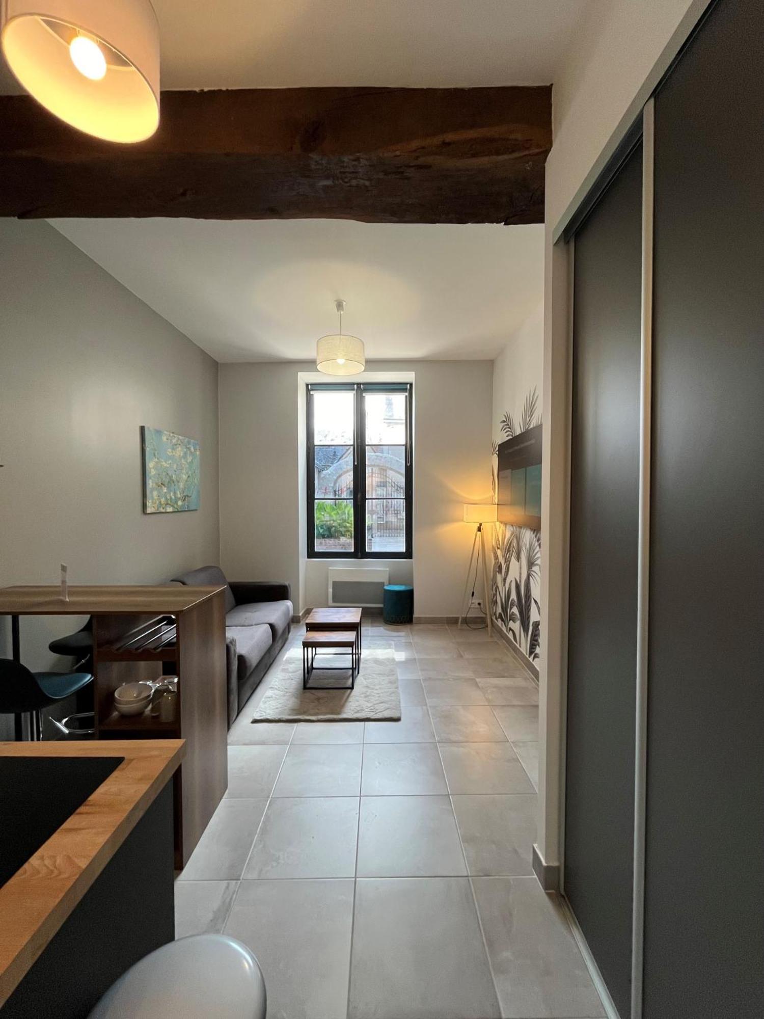 Quai De La Loire Apartment Blois Exterior foto
